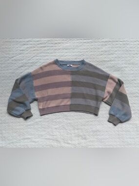Grey Bandit Striped Cropped Crewneck Sweater